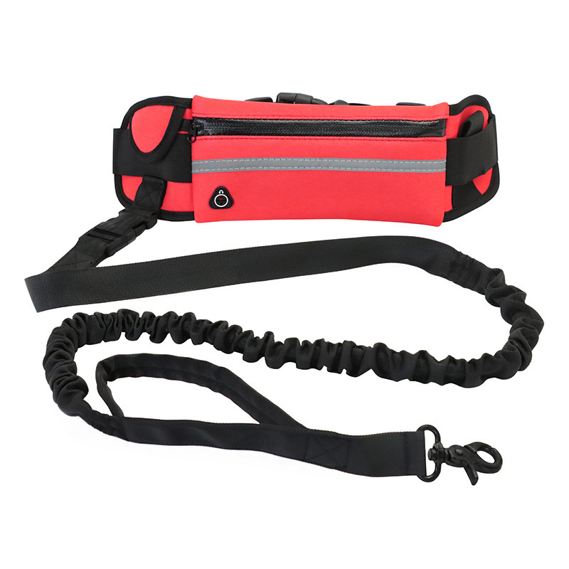 Hands-Free Dog Leash Belt with Bungee, Phone Pocket and Bottle Holder - Image 2