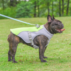 Dog Cooling Vest for Summer Walks