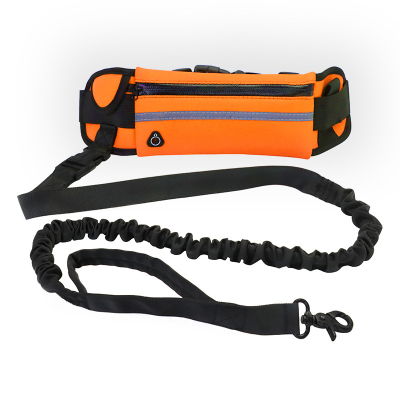 Hands-Free Dog Leash Belt with Bungee, Phone Pocket and Bottle Holder - Image 4