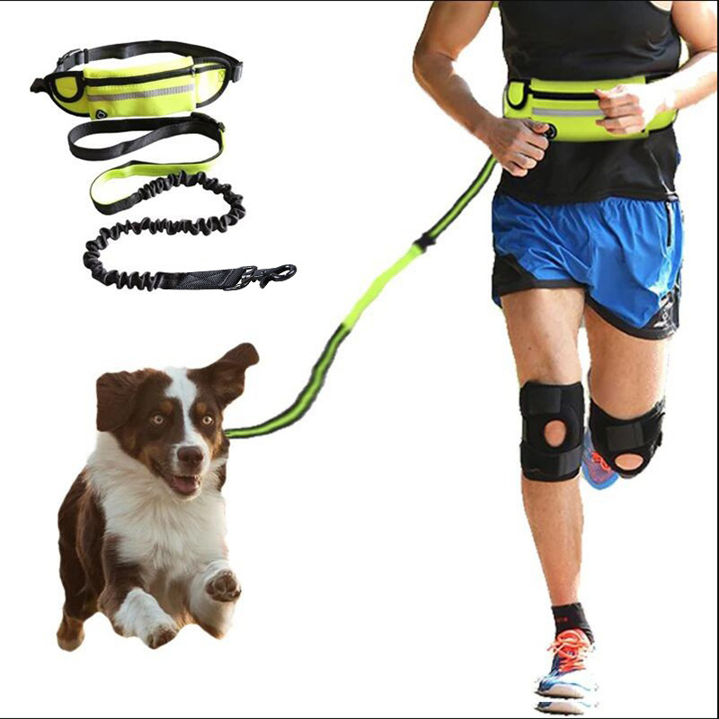 Hands-Free Dog Leash Belt with Bungee, Phone Pocket and Bottle Holder - Image 5